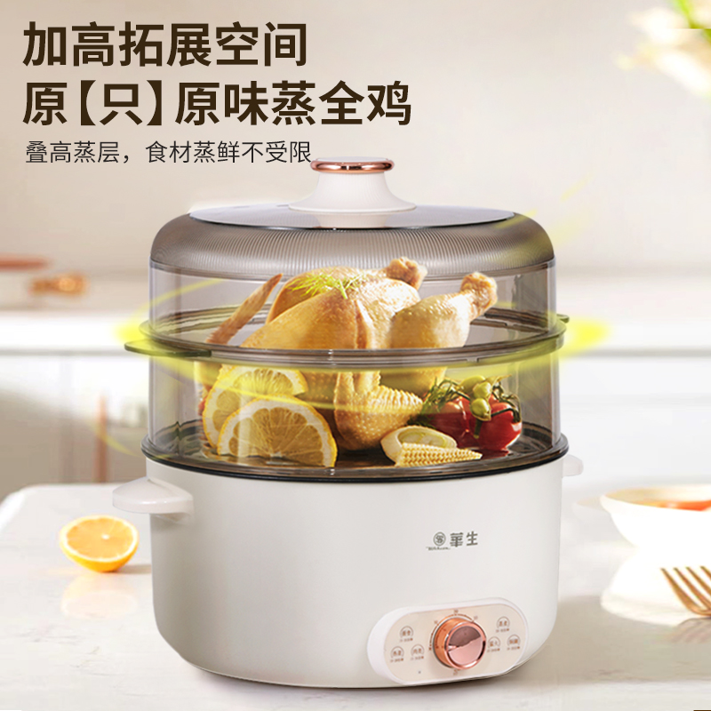 电蒸锅HZ50